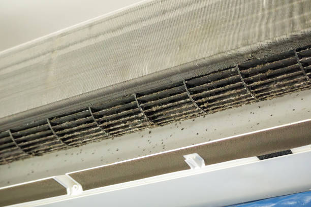 HVAC System Cleaning in Northlake, IL